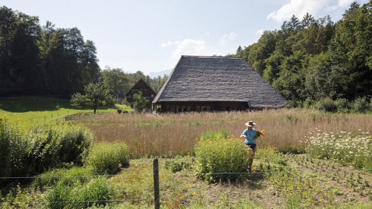 Au Musée en plein air de Ballenberg, les champs sont cultivés à la main.
