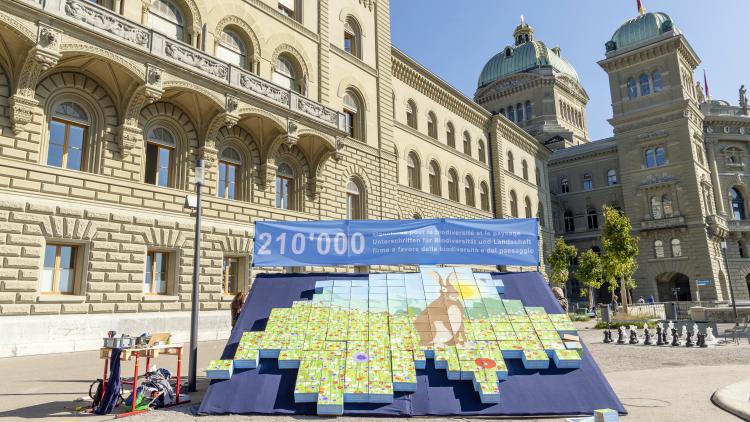 Dépôt d'initiatives doubles