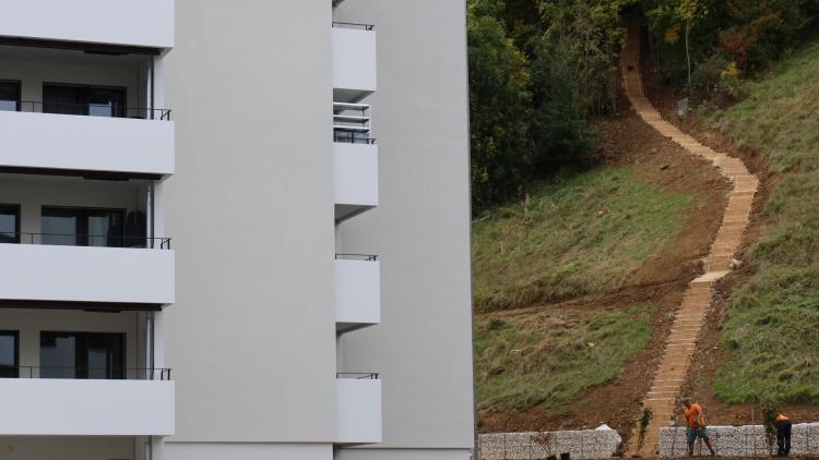 Hochhaus neben Wald mit steilem Weg